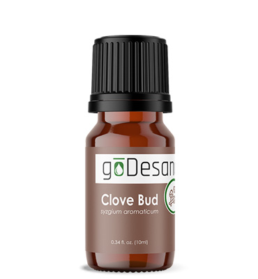 Clove Bud