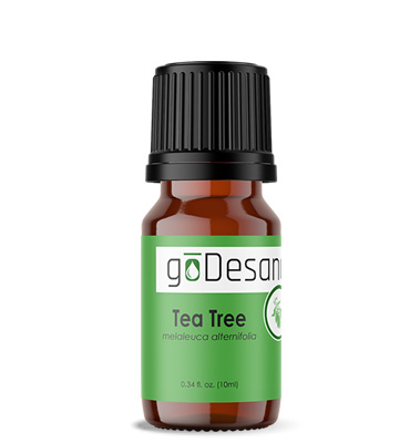 Tea Tree