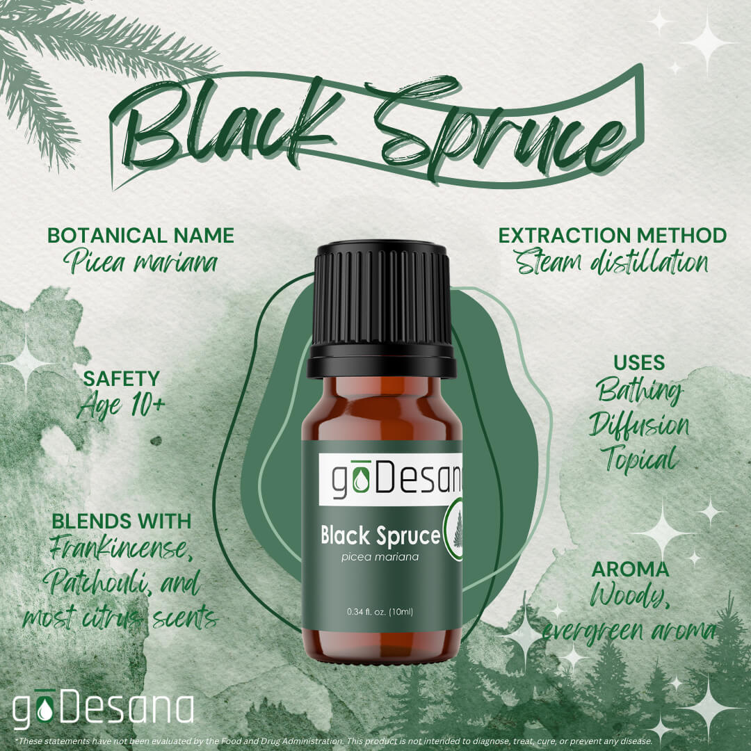 Black Spruce