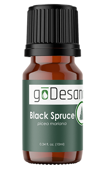 Black Spruce Essential Oil