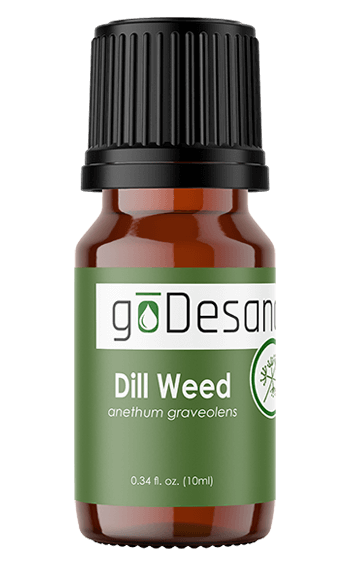 Dill Weed Essential Oil