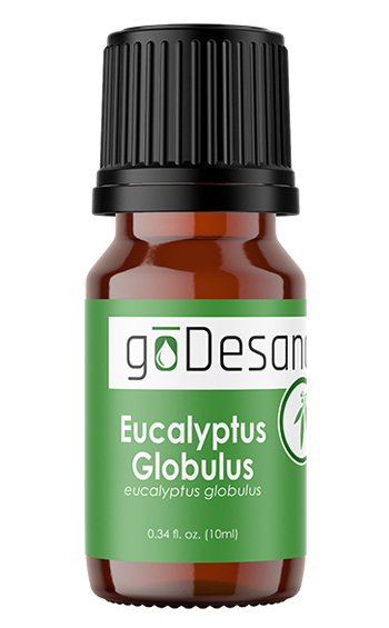 Eucalyptus Globulus Essential Oil