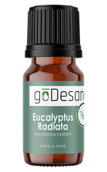 Eucalyptus Radiata Essential Oil