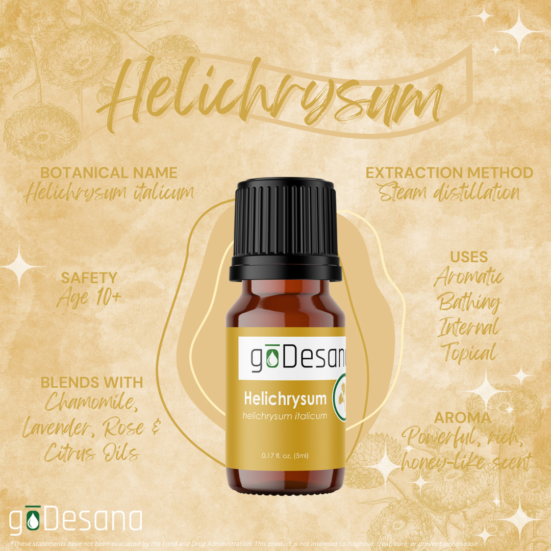 Helichrysum