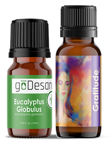 December OOTM Combo - Gratitude + Eucalyptus Globulus