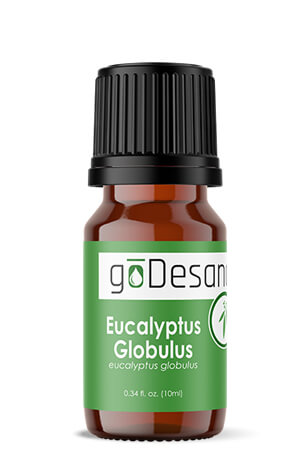 December OOTM Single - Eucalyptus Globulus