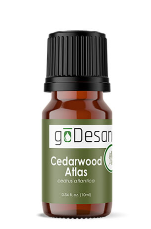 June OOTM Single - Cedarwood Atlas