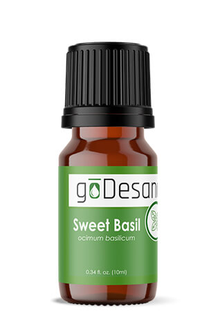 Sweet Basil