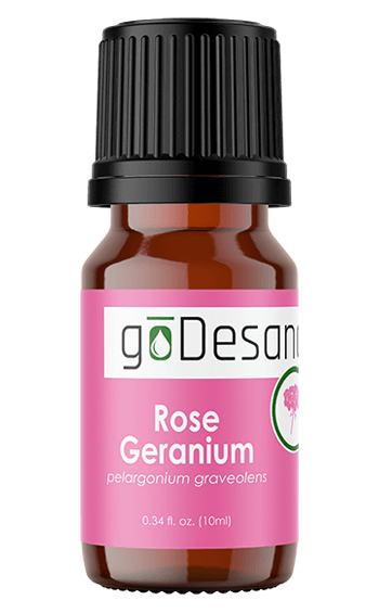 Rose Geranium Essential Oil