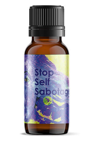 Stop Self Sabotage