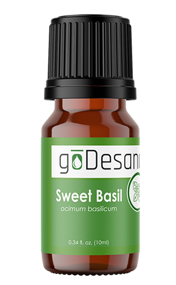 Sweet Basil Essential Oil